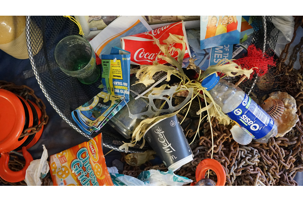 Litter can attract vermin and causes an eyesore