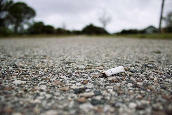 Throwing away cigarette butts on open land is littering