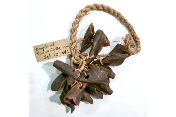 A 19th century anklet from Argentina, made of rope with deer hooves attached. The old label states: 'attached to feet by Indians when dancing bought at Buenos Ayres Sept.13th 1892'. - 1981.804 © McLean Museum and Art Gallery, Greenock.