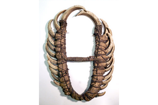 A face ornament or fighting mask (gibigibi) dating from late 19th century Papua New Guinea. It is probably from the Collingwood Bay area of Oro province where it is worn by men. It is made from a cane frame with rows of pig tusks, fibre bindings and fire rope, terminating in boar tusks. - 1981.495 © McLean Museum and Art Gallery, Greenock.