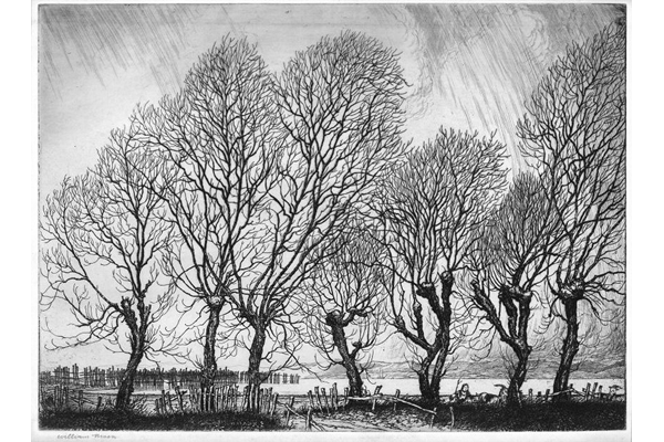 Symphony in Trees, Port Glasgow by William Niven (1890-1947) - 27.1 x 36.3 cm - 1977.1048 - © McLean Museum and Art Gallery, Greenock