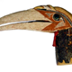 Malagan totem from New Ireland in the form of a carved hornbill head with Turbo petholatus opercula as eyes. Late 19th century. Used in Malagan ceremonies - 1981.1435 © McLean Museum and Art Gallery, Greenock.