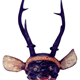 This spirit head is from Myanmar. It is 19th century in date and is based on a skull of a Sitka deer decorated with gesso, pigment and a pair of white metal ears. - 1981.447 - ©McLean Museum and Art Gallery, Greenock.