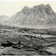 Mount Horeb, Sinai by Francis Frith (1822-1898) - Albumen print on paper - 16.2 x 22 cm  - 1857 - 2017.140.5 - © McLean Museum and Art Gallery, Greenock