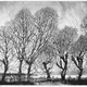 Symphony in Trees, Port Glasgow by William Niven (1890-1947) - 27.1 x 36.3 cm - 1977.1048 - © McLean Museum and Art Gallery, Greenock